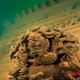 Image for article titled Once-Majestic Cities That Sank Beneath The Ocean